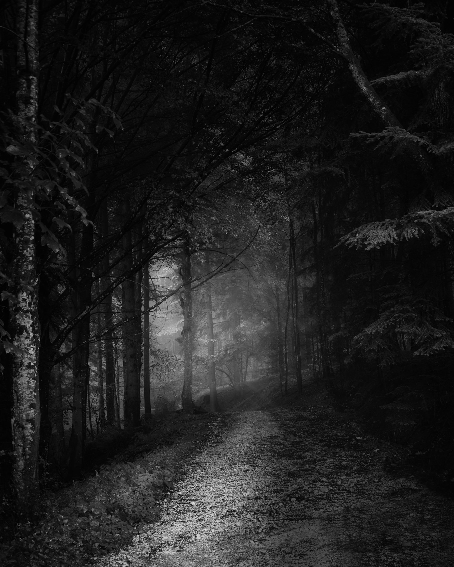 Reflections on Paranormal Adventures and Beyond