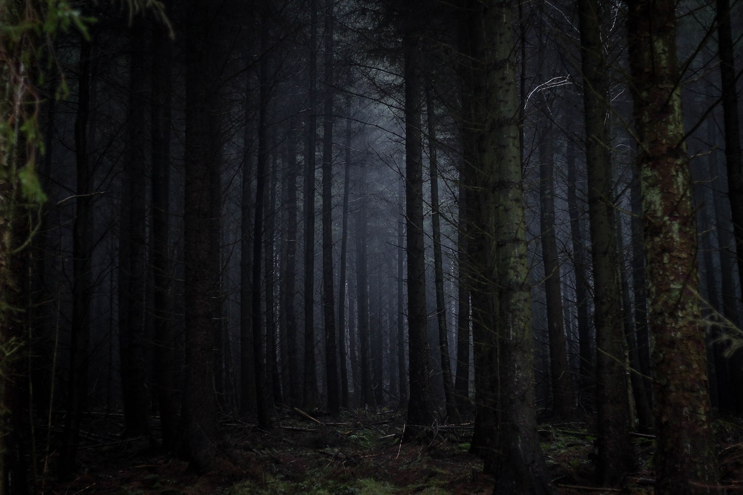Blending Fantasy Elements into Life’s Narratives